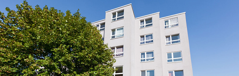 Helles, mehrstöckiges Wohnheim mit rechteckigen Fenstern, geradliniger Architektur und großem Baum im Vordergrund
