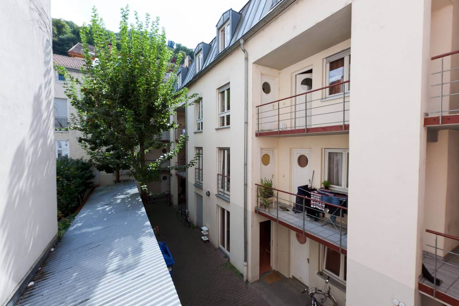 Mehrgeschossiger Innenhof mit Balkonen, Türen und Fenstern sowie einem großen Baum, der zwischen den Gebäuden wächst; unten Fahrräder und Hauszugänge.