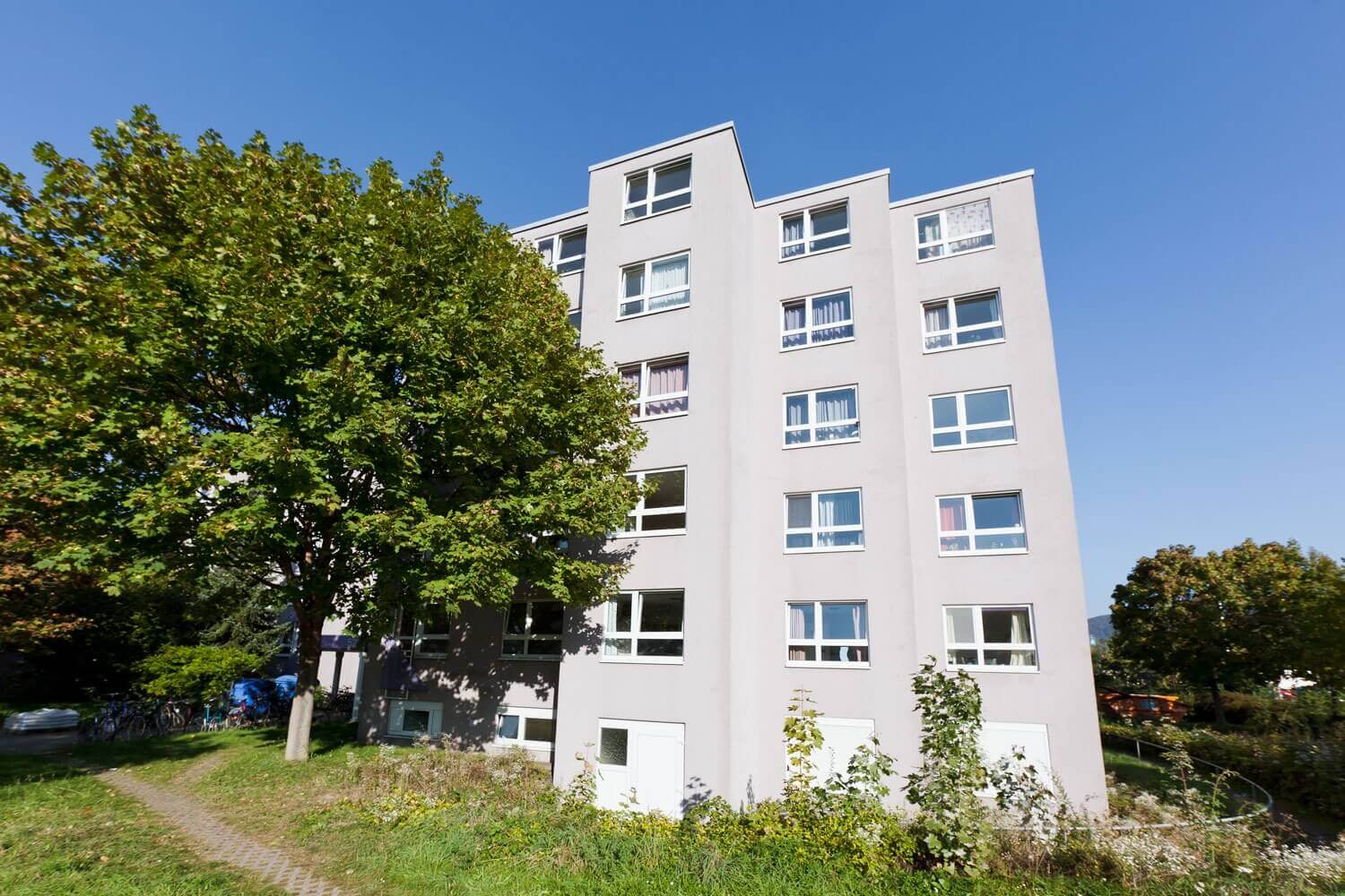 Außenansicht eines mehrstöckigen Studentenwohnheims mit heller Fassade und großem Baum im Vordergrund.