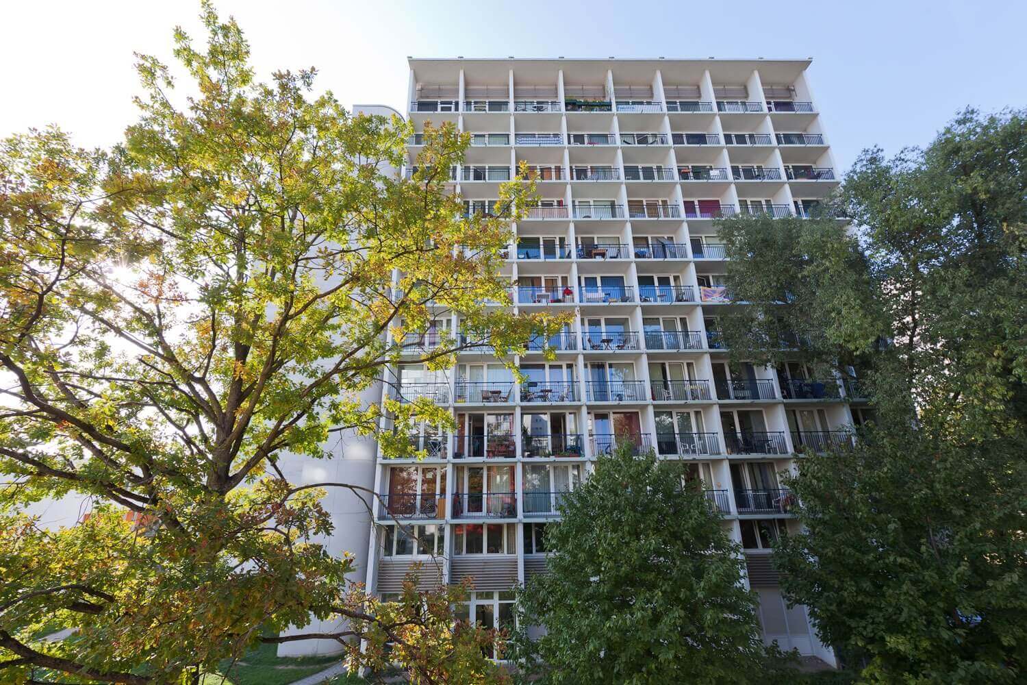 Rückansicht eines Studentenwohnheims mit mehreren Etagen, Balkonen und umgeben von grünen Bäumen bei Sonnenschein.